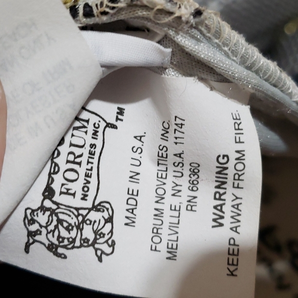 Halloween Lady of the Lake Costume - Picture 10 of 13